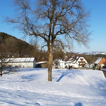 Mayer Burghoefe Owingen Buitenkant foto