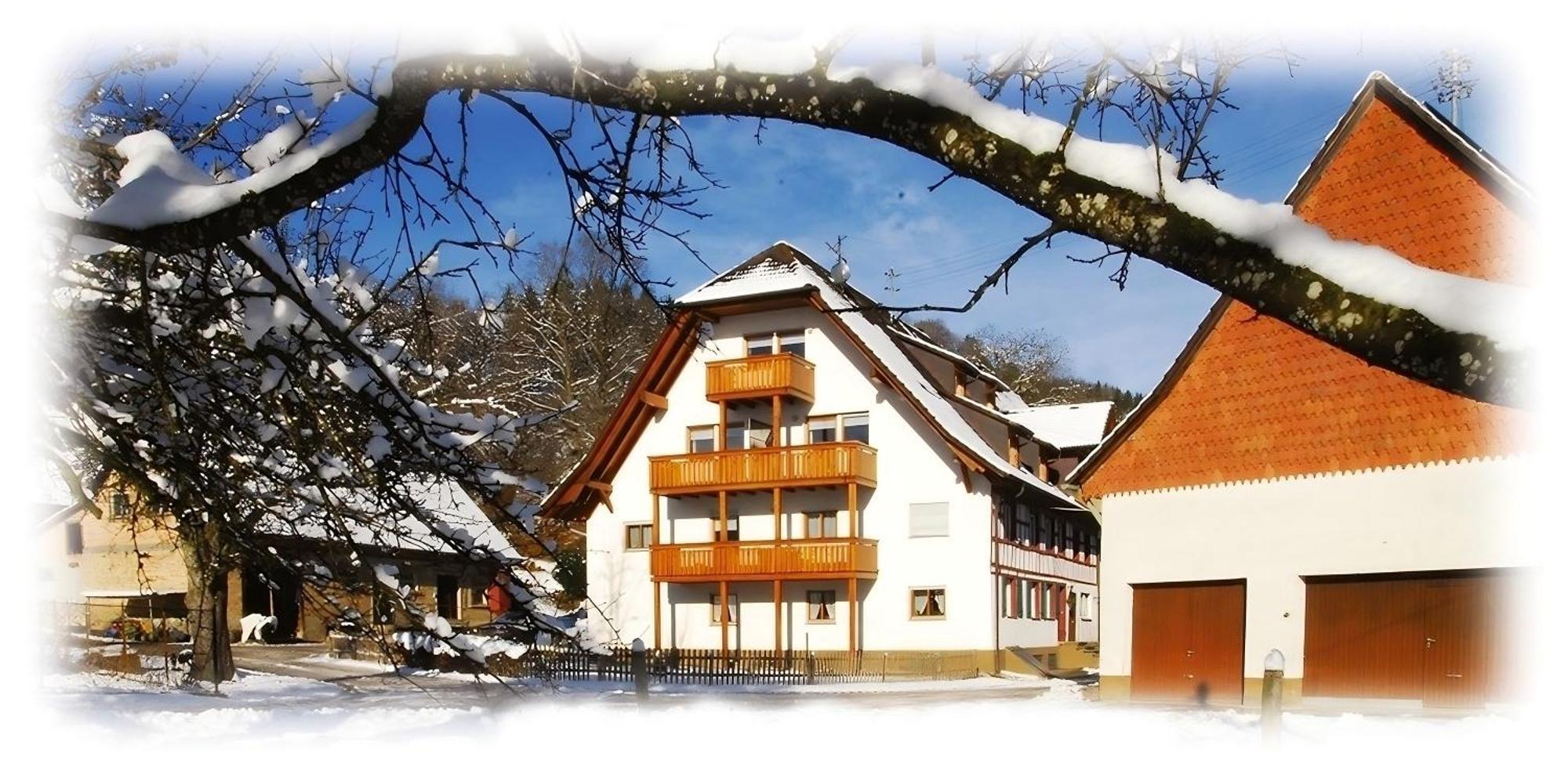 Mayer Burghoefe Owingen Buitenkant foto