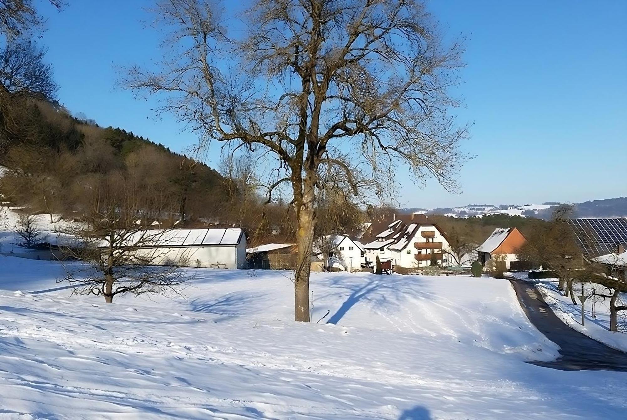 Mayer Burghoefe Owingen Buitenkant foto